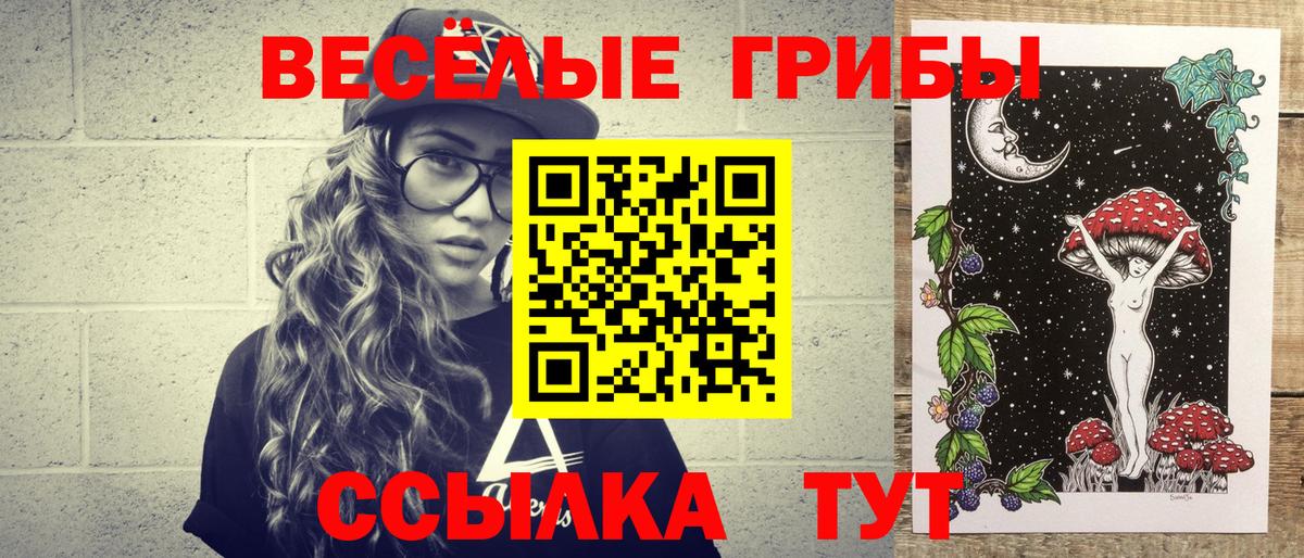 Кизляр  Псилоцибиновые грибы Psilocybine cubensis  Псилоцибиновые грибы Psilocybine cubensis  Вход с VPN 